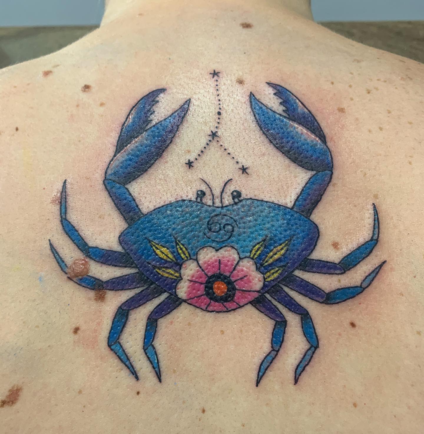 Clip Art Cancer Crab Tattoo - Tribal Crab Tattoo Designs, HD Png Download -  kindpng