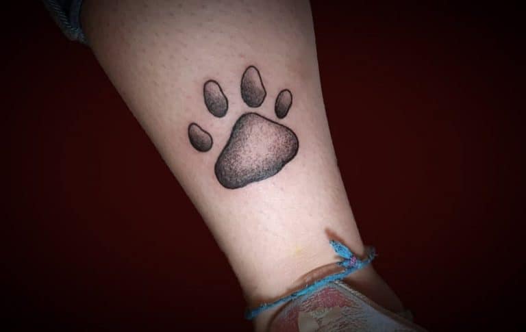 Cool Cat Paw Print Tattoo Ideas cool-cat-paw-print-tattoo-ideas