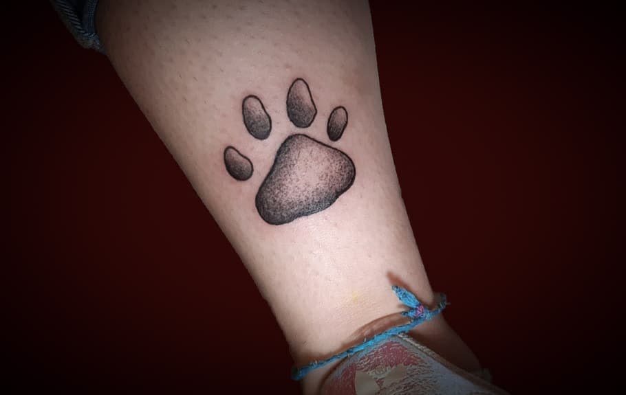 Cat Paw Print Ankle Tattoo annachiara_venuti
