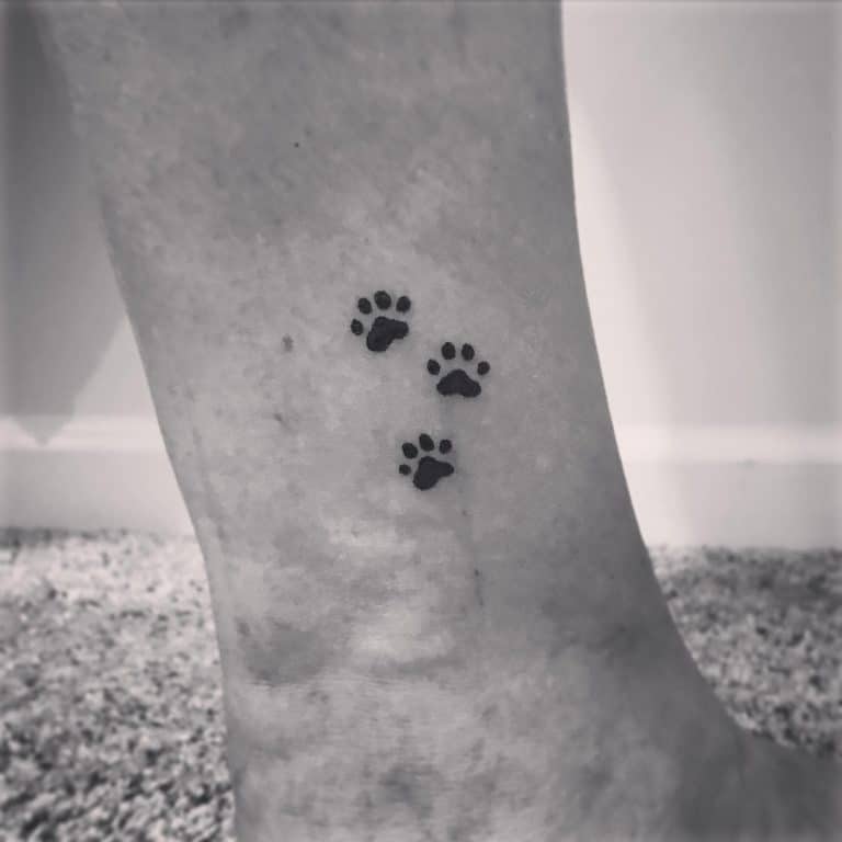 Cool Cat Paw Print Tattoo Ideas cool-cat-paw-print-tattoo-ideas