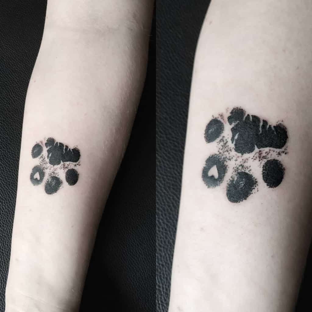 Cat Paw Print Arm Tattoo ondrejmiskar