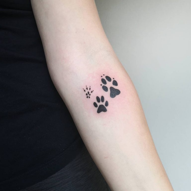 Cool Cat Paw Print Tattoo Ideas