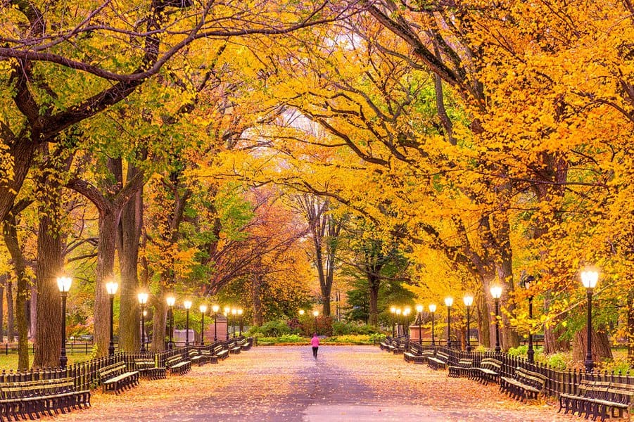 Central Park New York Ciy