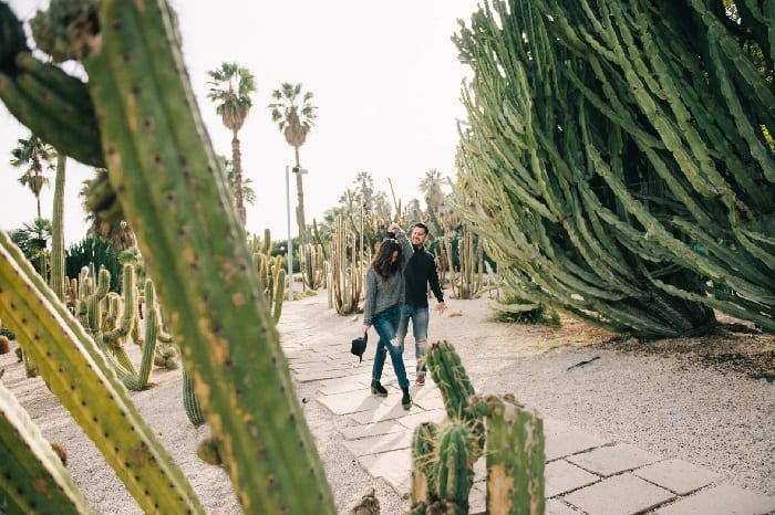 Couple Walking In Botanical Gardens