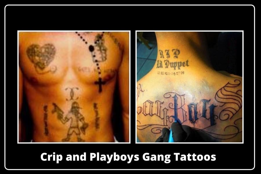 Crip And Playboys Gang Tattoos 