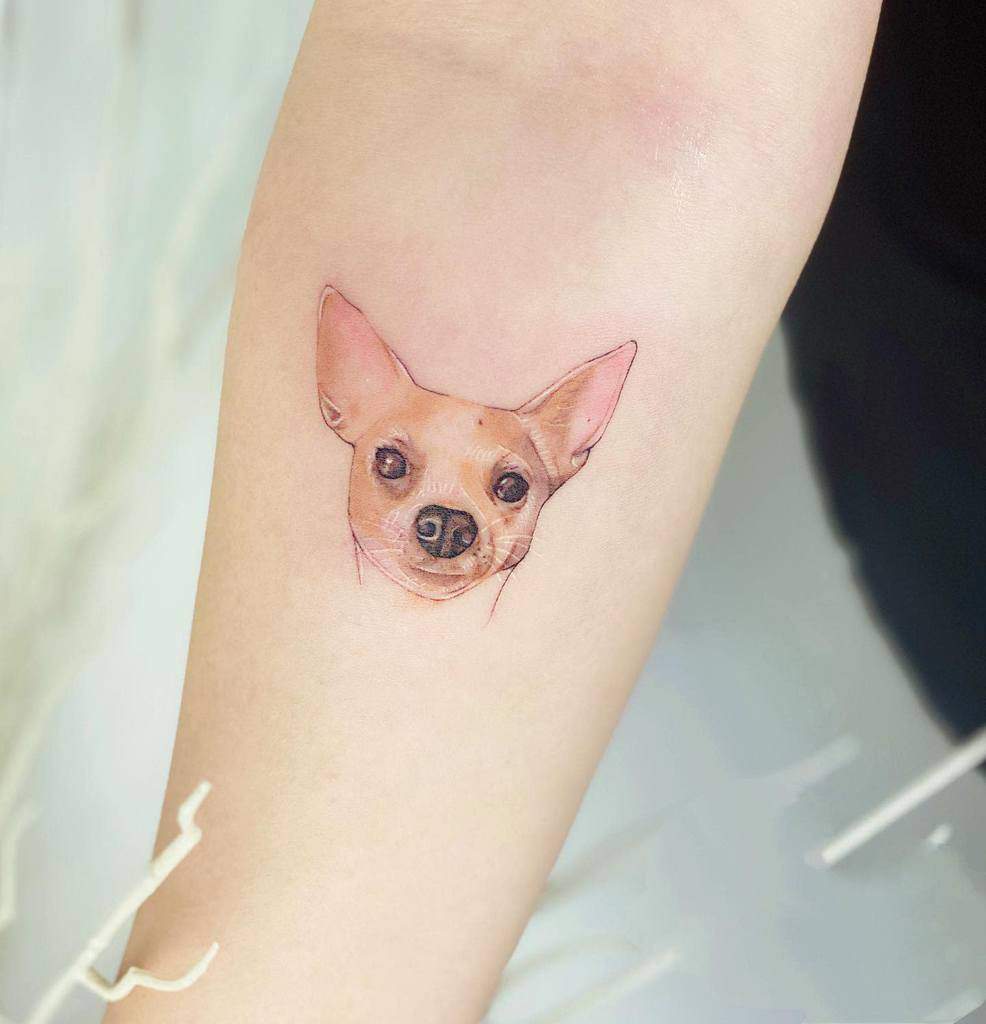 Cute Small Animals Tattoos Koizhou Tattooist