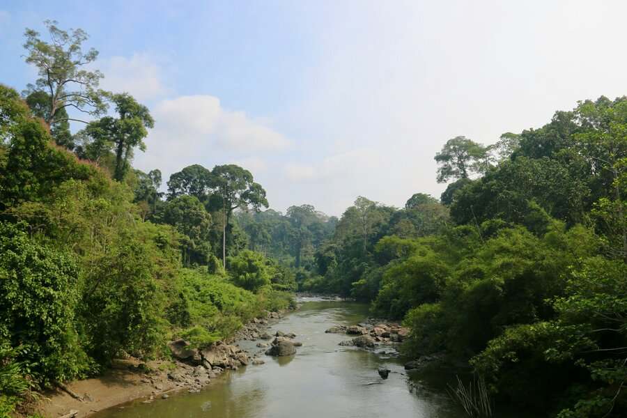 Danum Valley Conservation Area