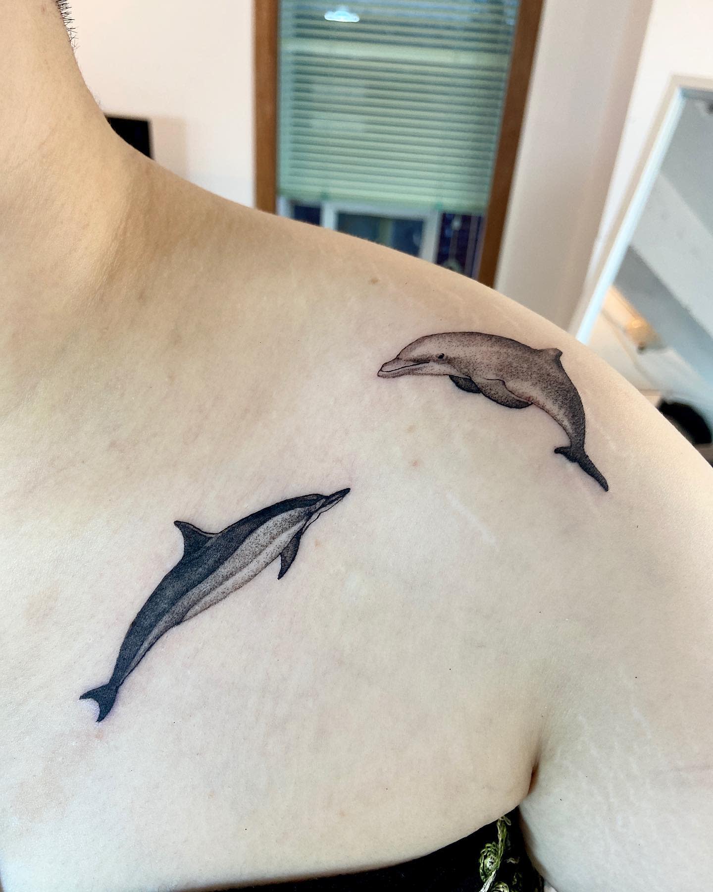 Black Dolphin Tattoo -jitattoostudio