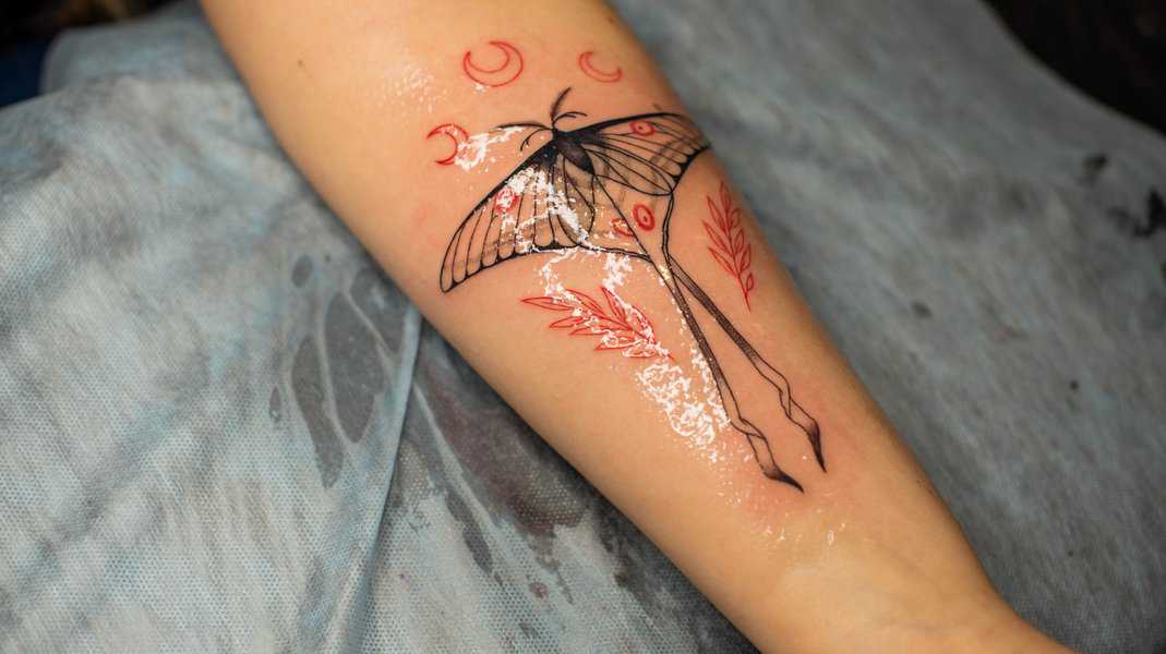 Best Dragonfly Tattoo Designs by bekir resit kuccuk