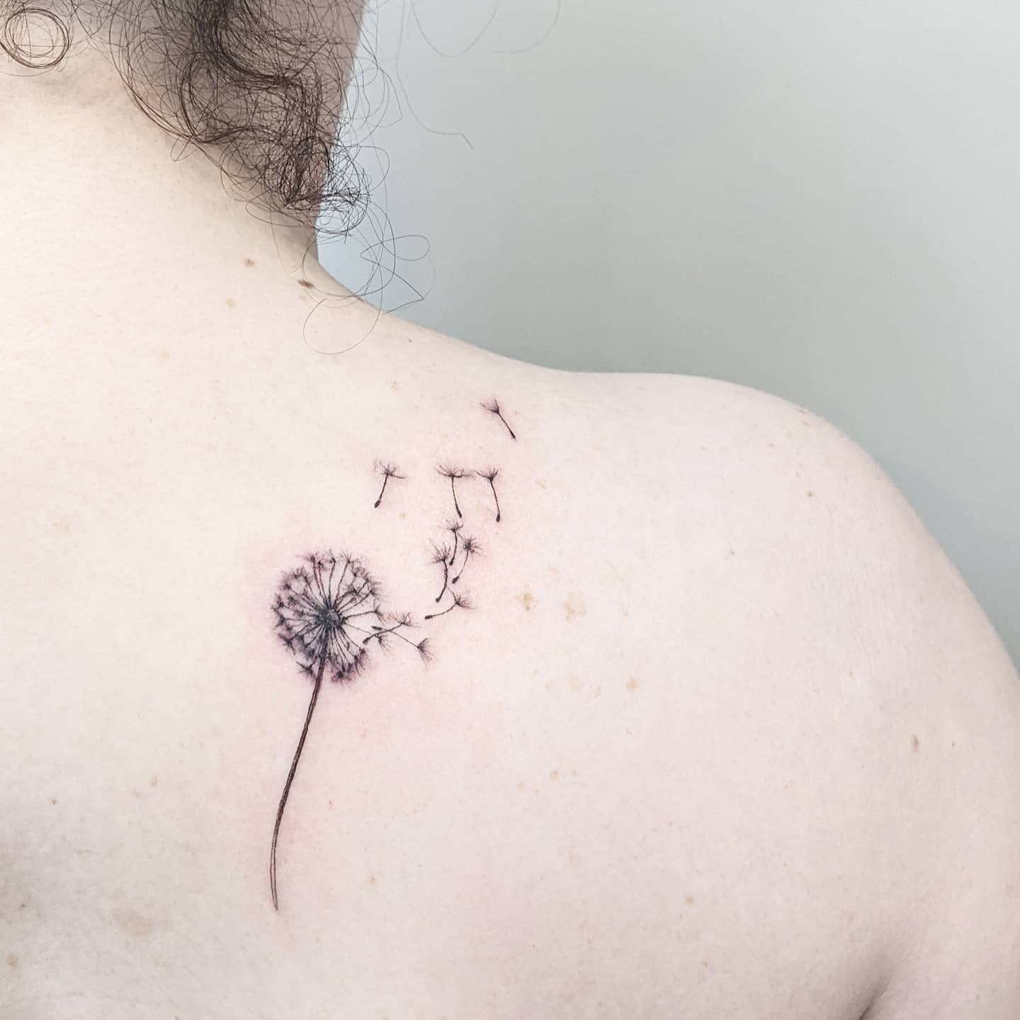 Thin Fine Line Tattoo -heather.tattoos