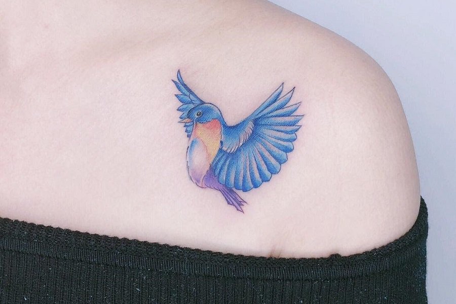 Images of blue bird tattoos