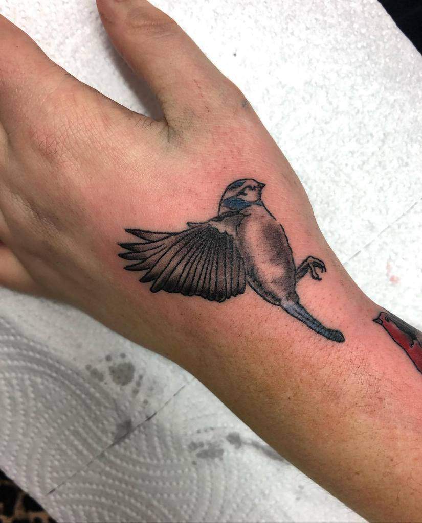 Flying Robin Tattoo Rachelritchietattoos 2