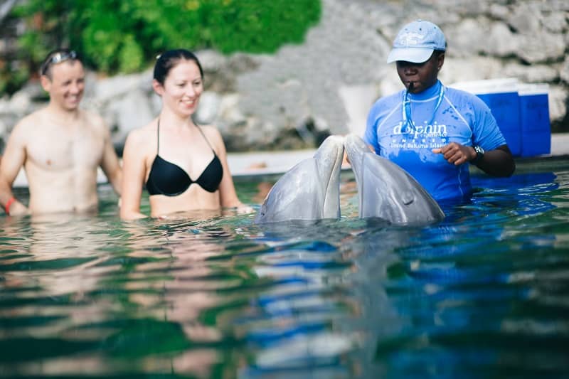 Go-Swimming-With-the-Dolphins-To-Keep-The-Romance-Alive