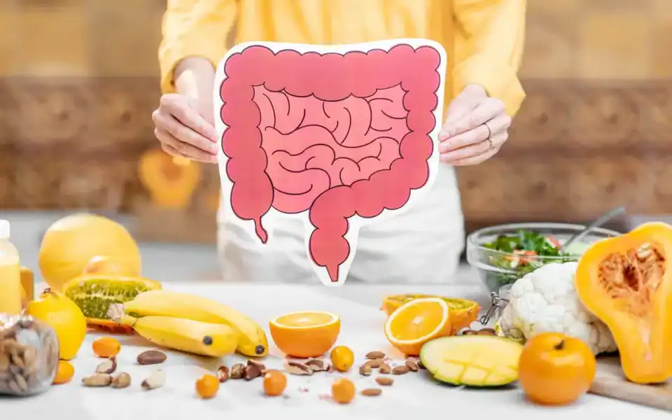 What Makes Gut Health Matter More Than Most People Realize?