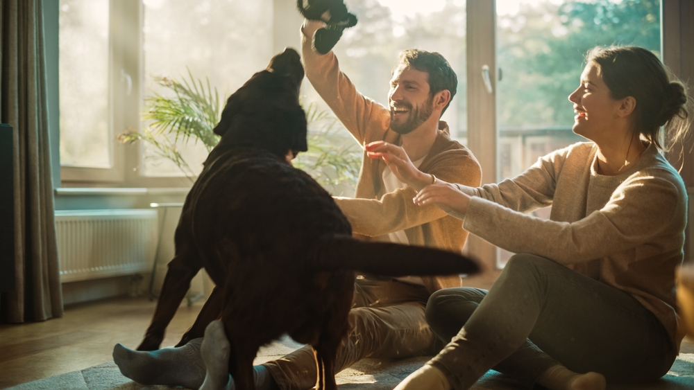 Balancing Career and Family: Secrets of Successful Couples