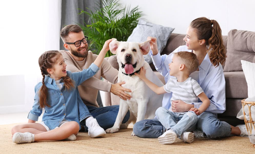 5 Best Au Pair Agencies in the US for Families With Specific Childcare Needs (2026)