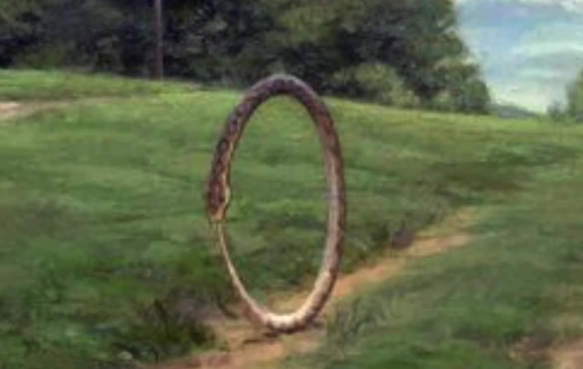 Hoop Snake Australian Mythical Creature