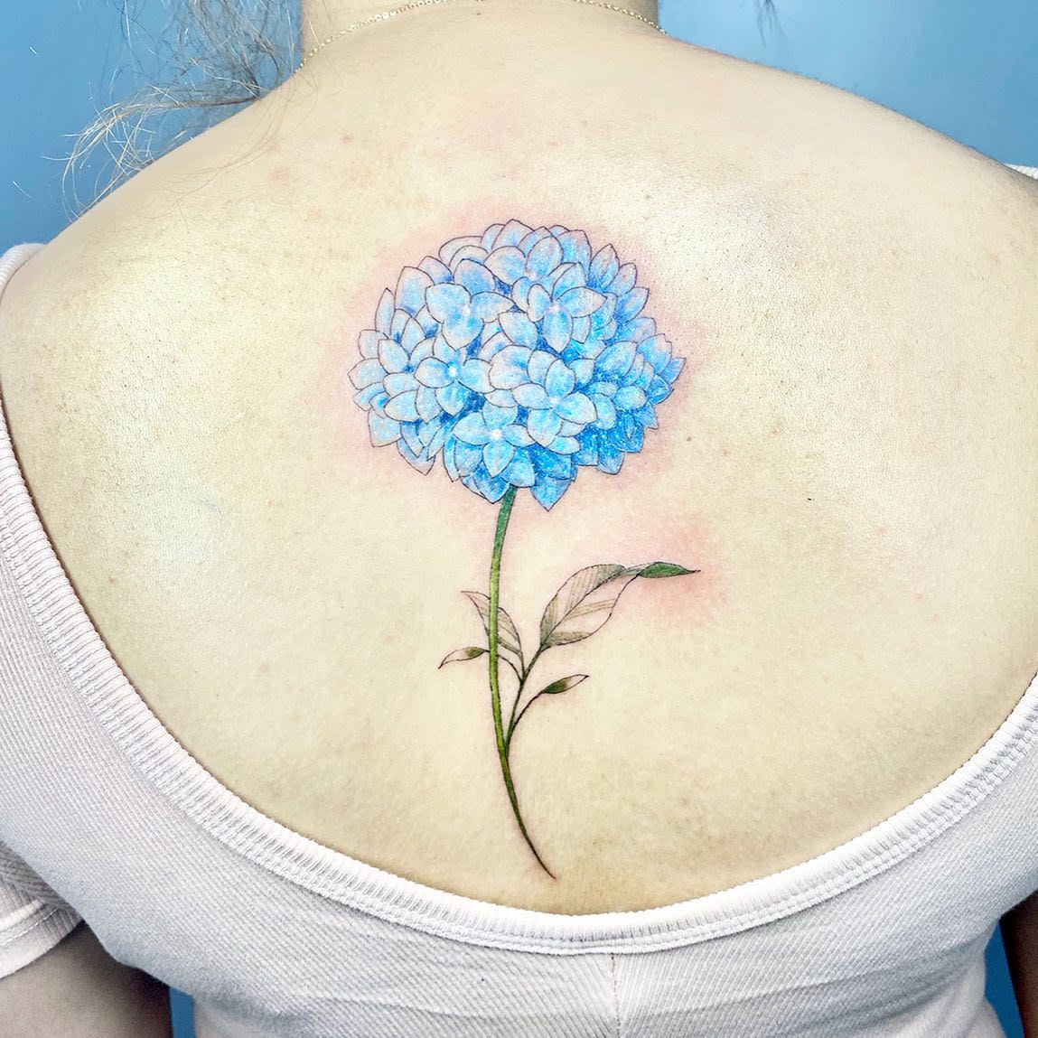 Blue Hydrangea Tattoo -shannellestudio