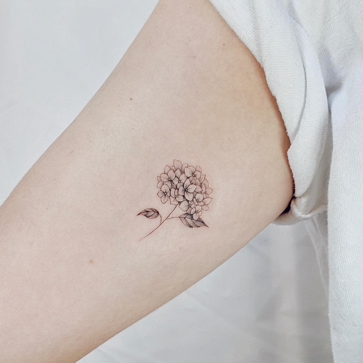 Small Hydrangea Tattoo -heeyatattoo