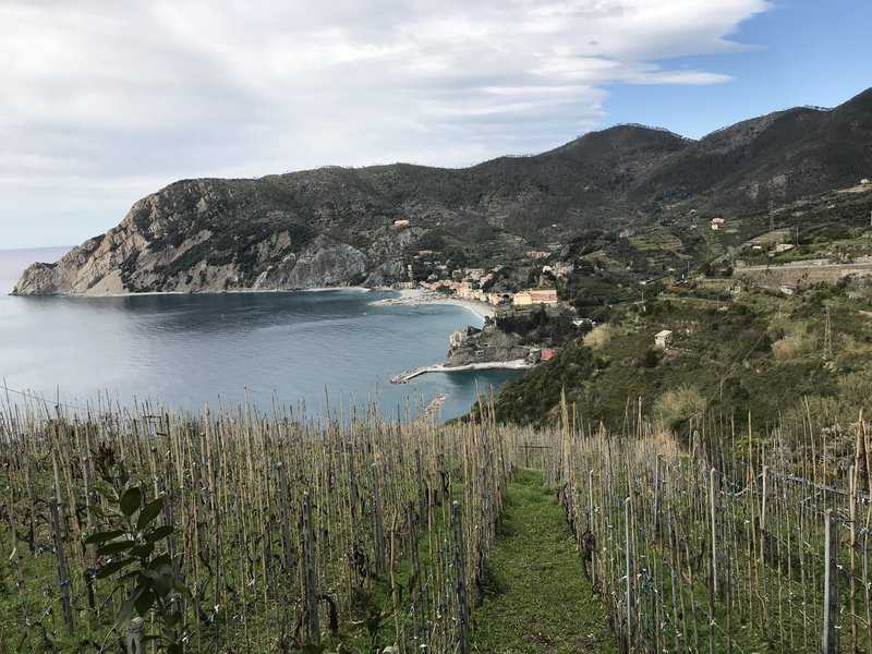 Blue Trail from Monterosso to Vernazza