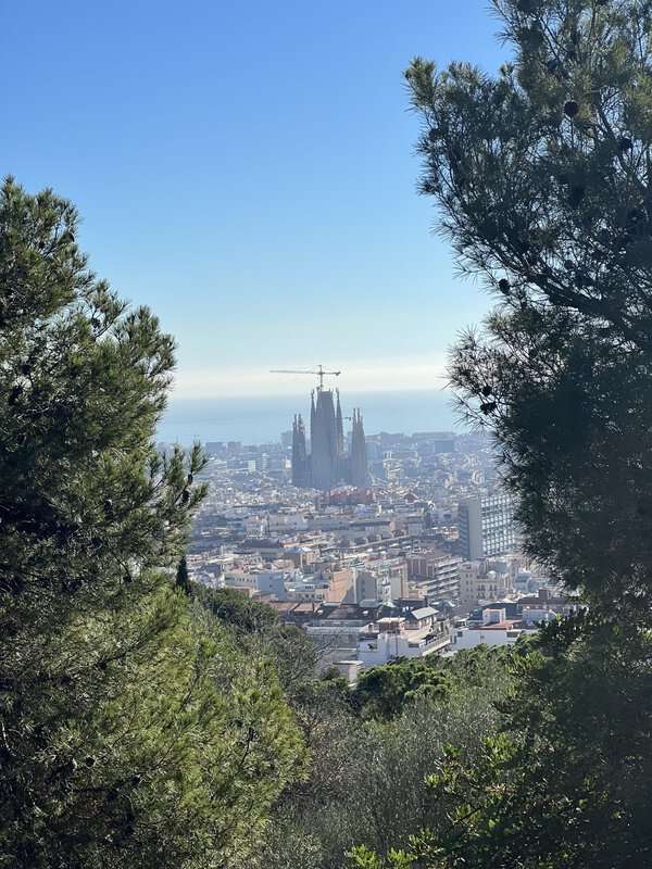 19 Best Things to Do in Barcelona
