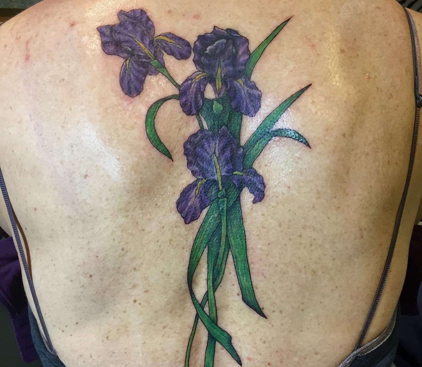 Iris espalda tatuaje -zebratattooz
