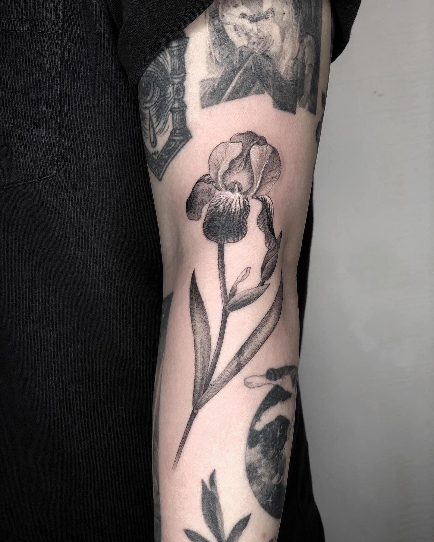 Sanctum Tattoo Studio  Iris  Lily linework tattoo from today Thank you  laurenjaynee for being such a trooper with your first tat going on the  ribs lilytattoo iristattoo flowertattoo ribtattoo floraltattoo 