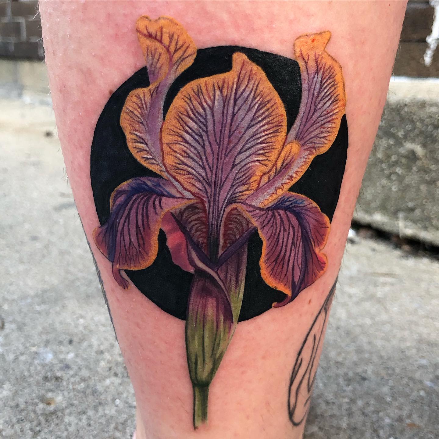 blue iris tattoo