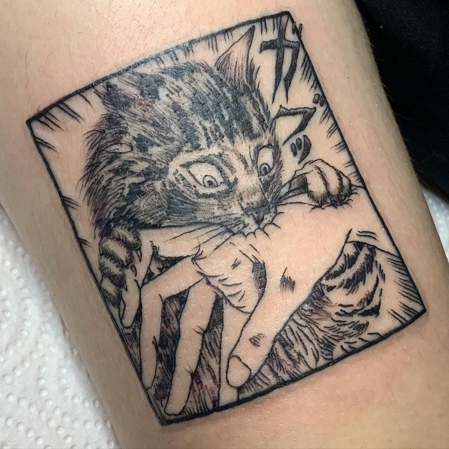 Tatuaje del gato Junji Ito -la__witchy