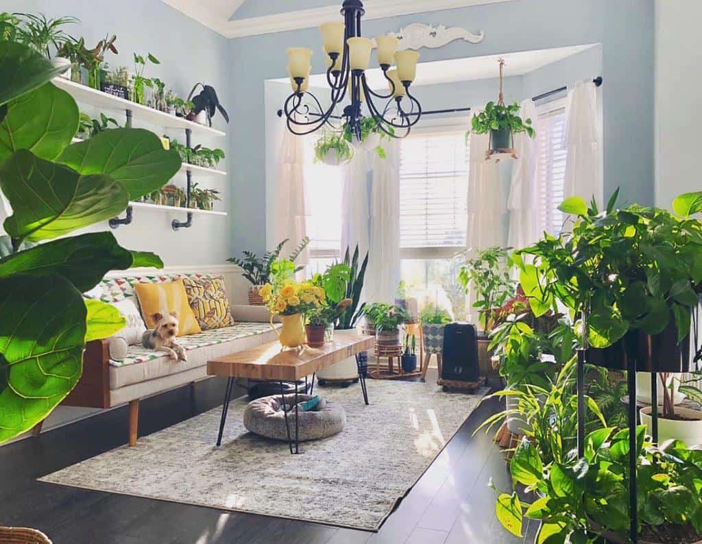 spacious living room potted plants