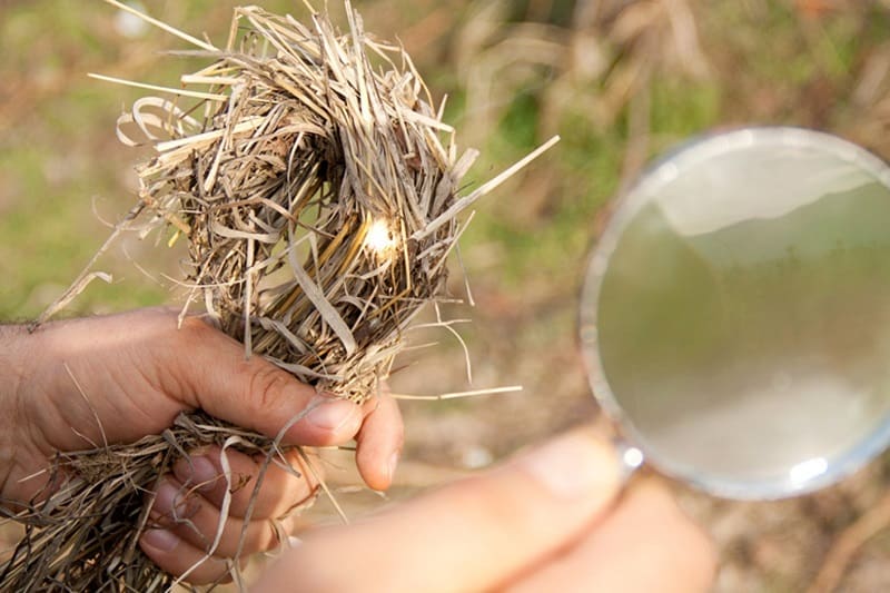 Mirror Starting Fire Method