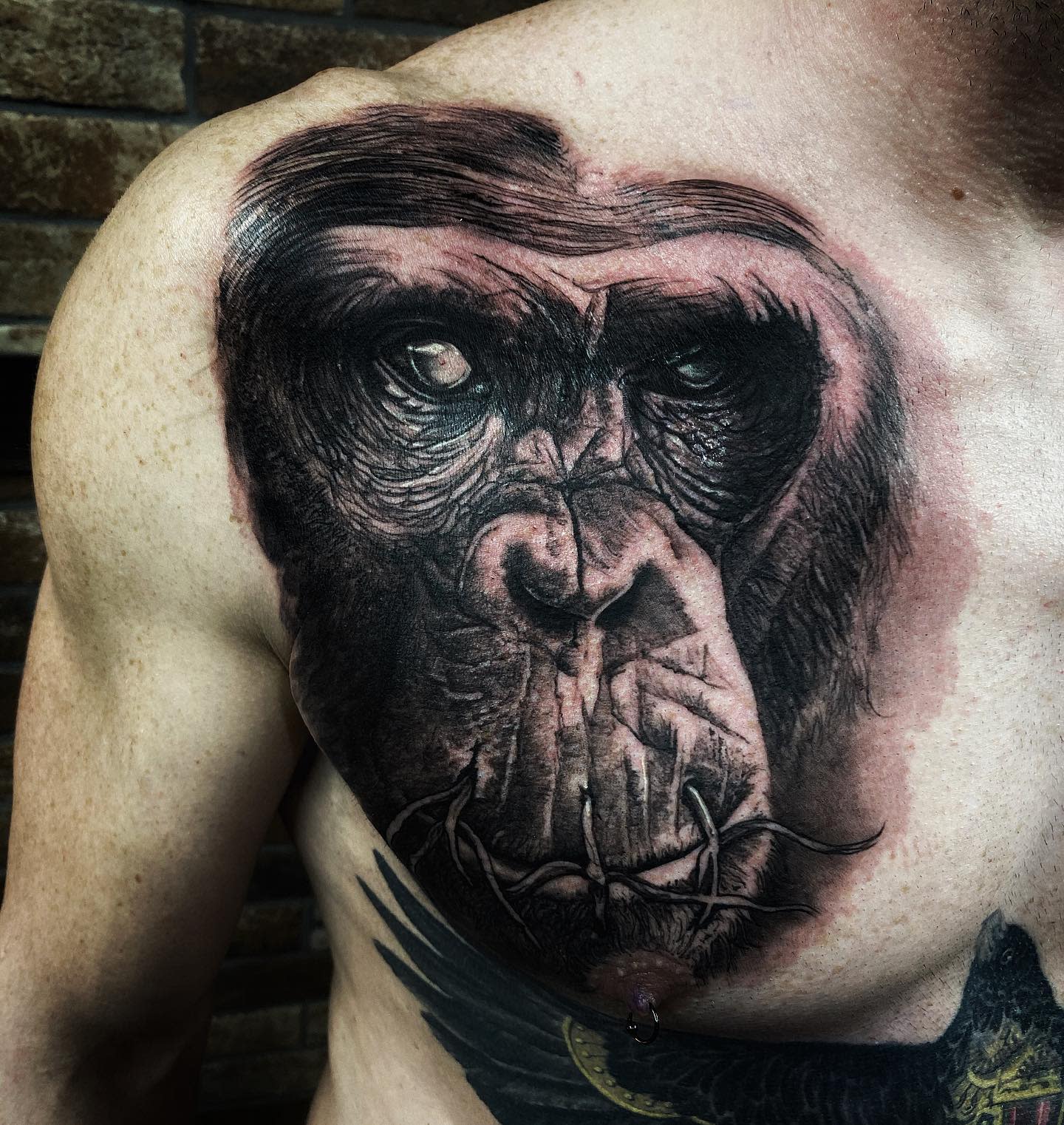 Realistic Monkey Tattoo -wolf_tattoo