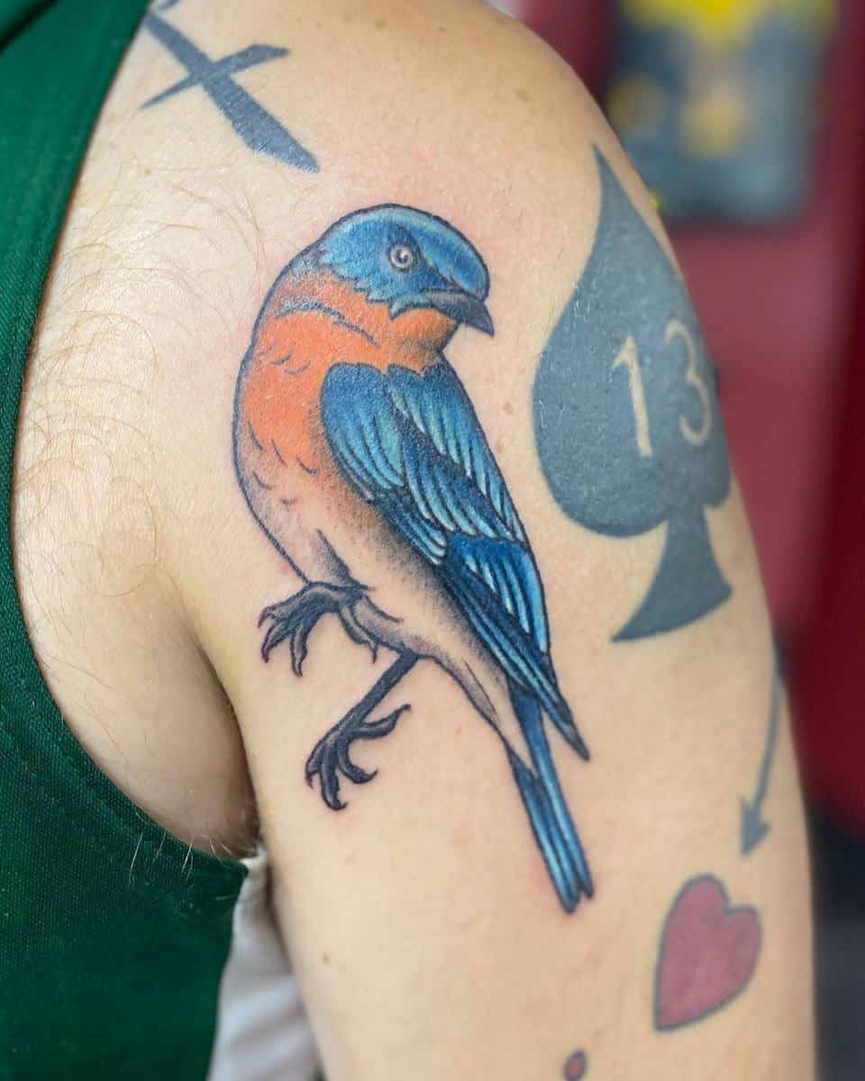 Neo Traditional Bluebird Tattoo Calliloskill-Kunst