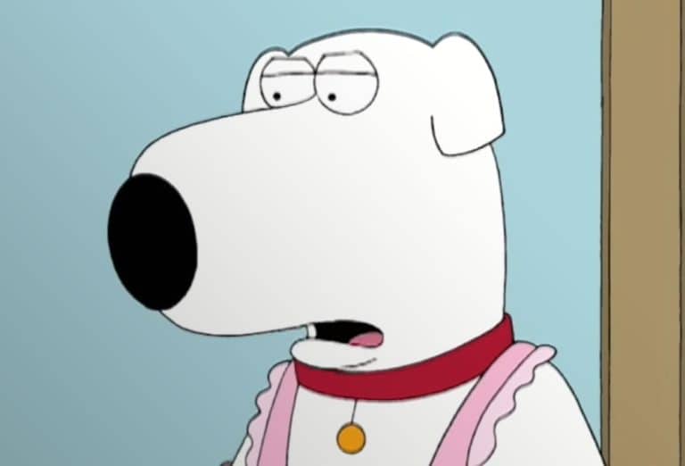 The 30 Best 'Family Guy' Episodes Of All Time - Next Luxury