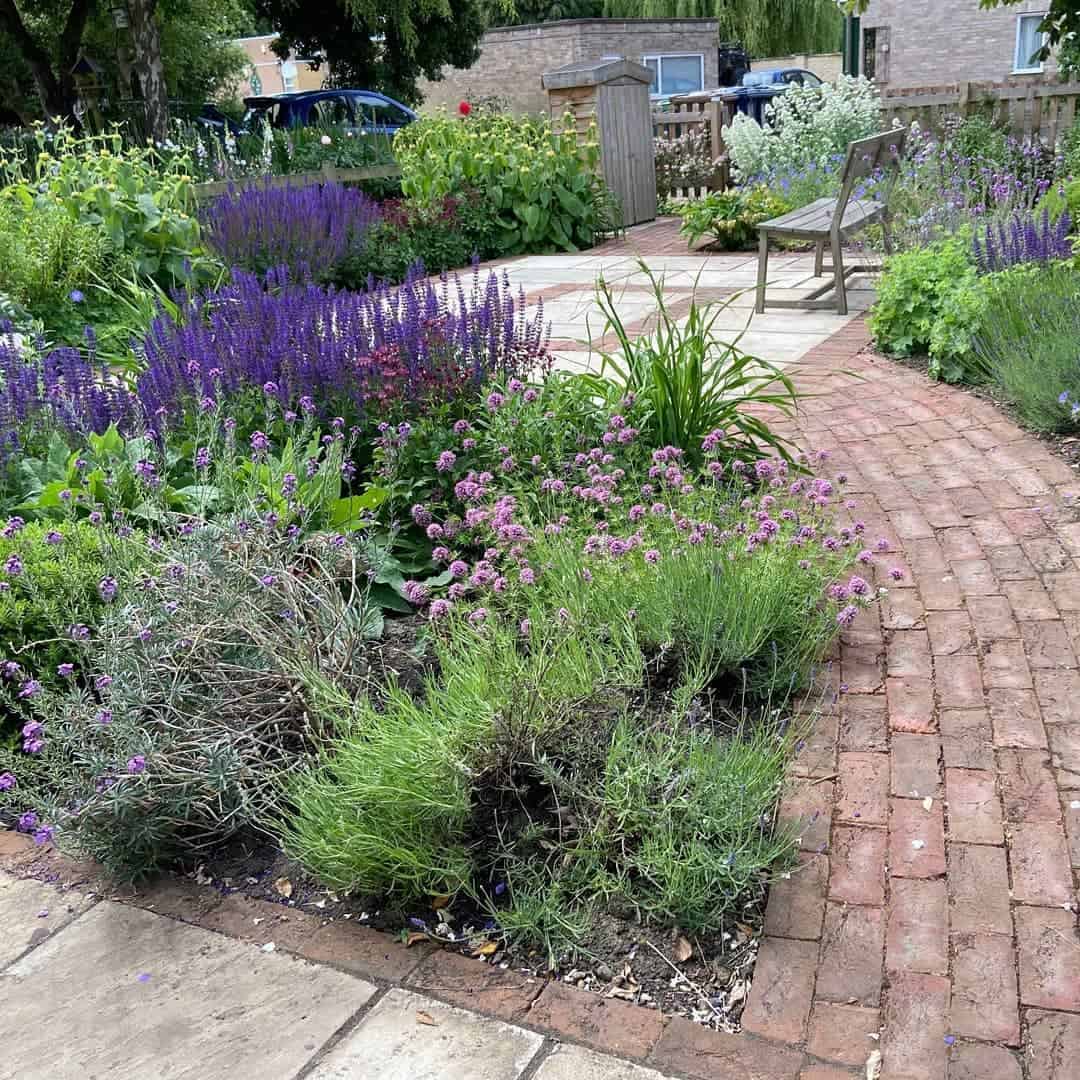 large garden paved pathway and patio lavender plants wood bench seat 