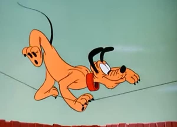 Pluto Wonder Dog
