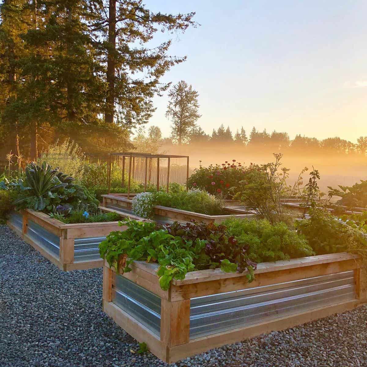 raised garden beds flowers and vegetables 