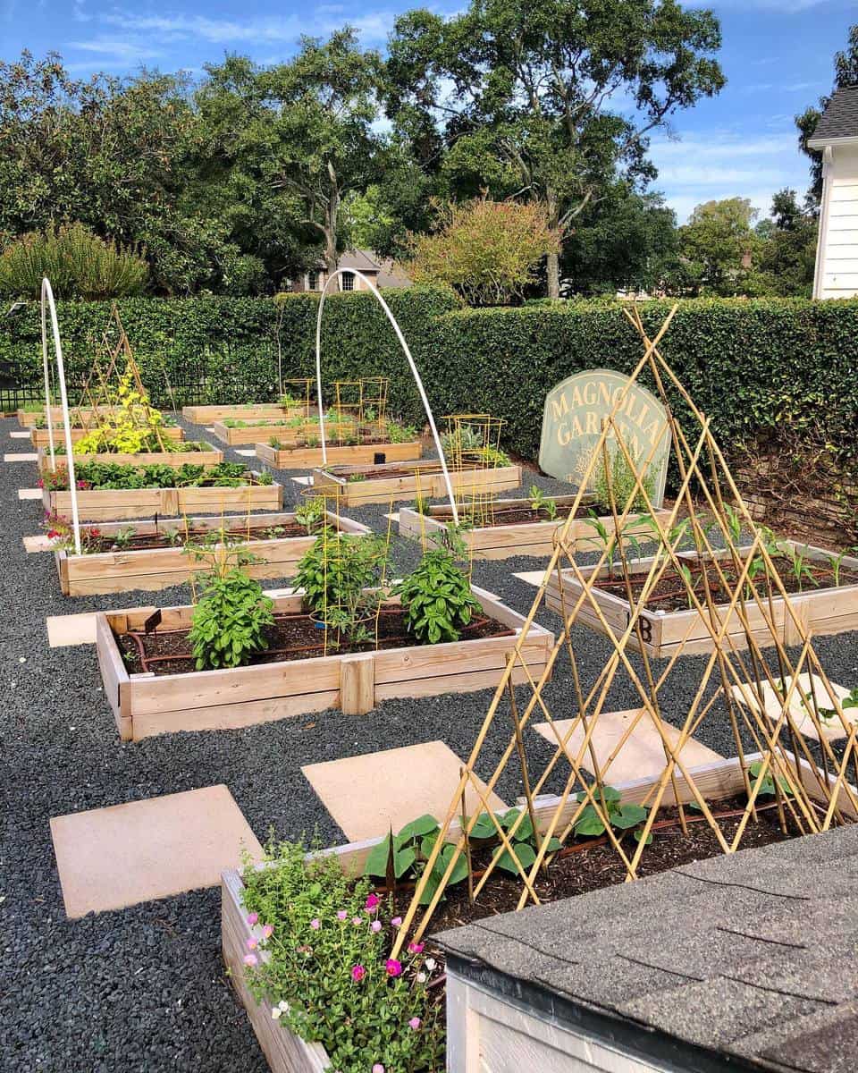 wood plank garden beds vegetables