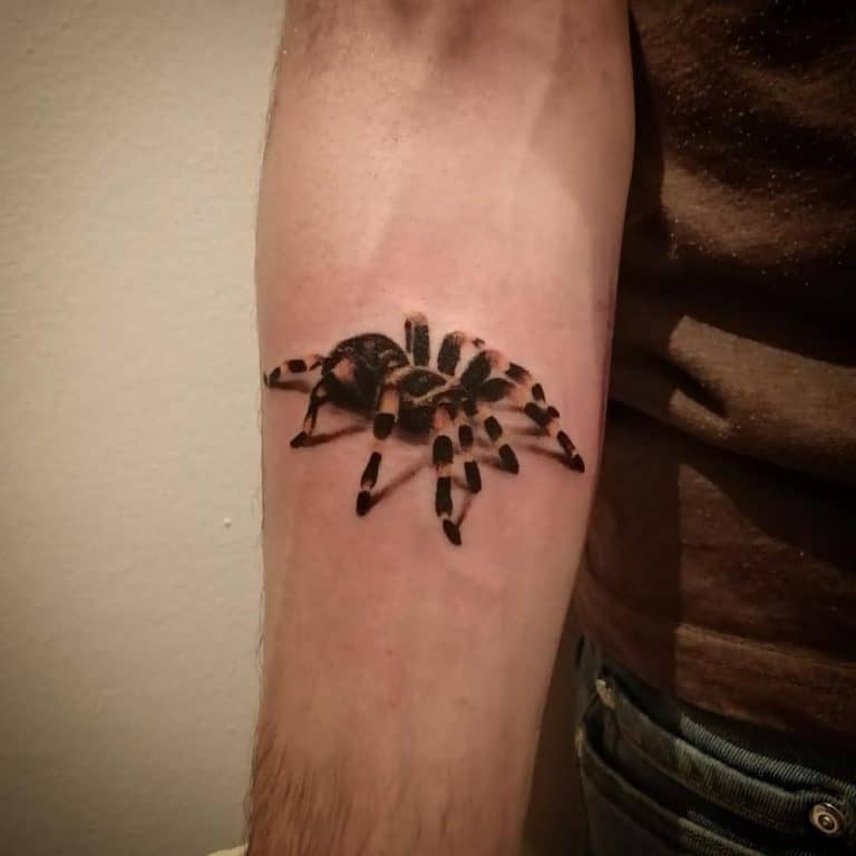 Stunning 3D Spider Tattoo Ideas