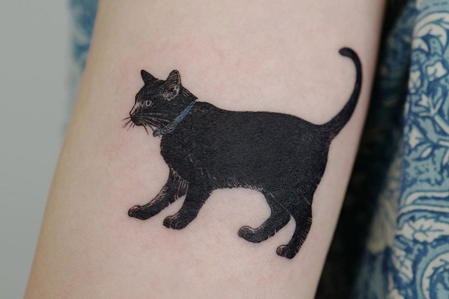 Cat Tattoos for Men | Tatouage de chat, Tatouage chat, Petit tatouage