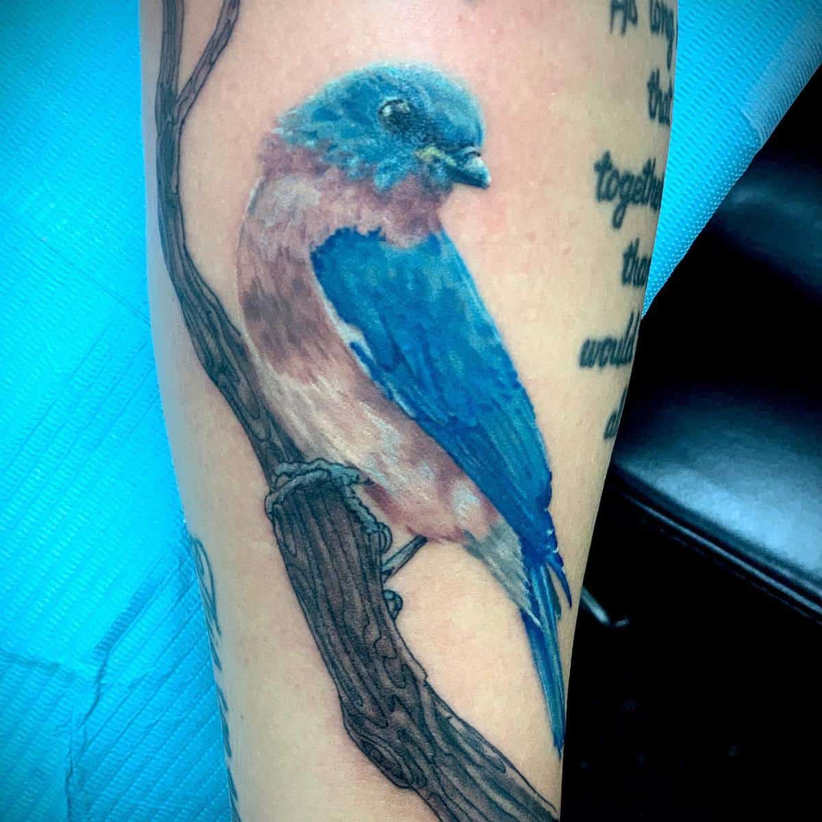 Realistisches Bluebird Tattoo tattooartistjay