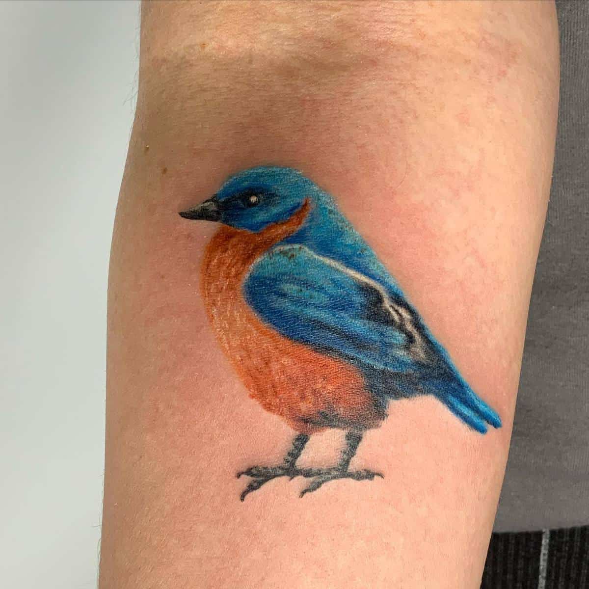 Realistische Bluebird Tattoo Whiskeyweaseltattoos
