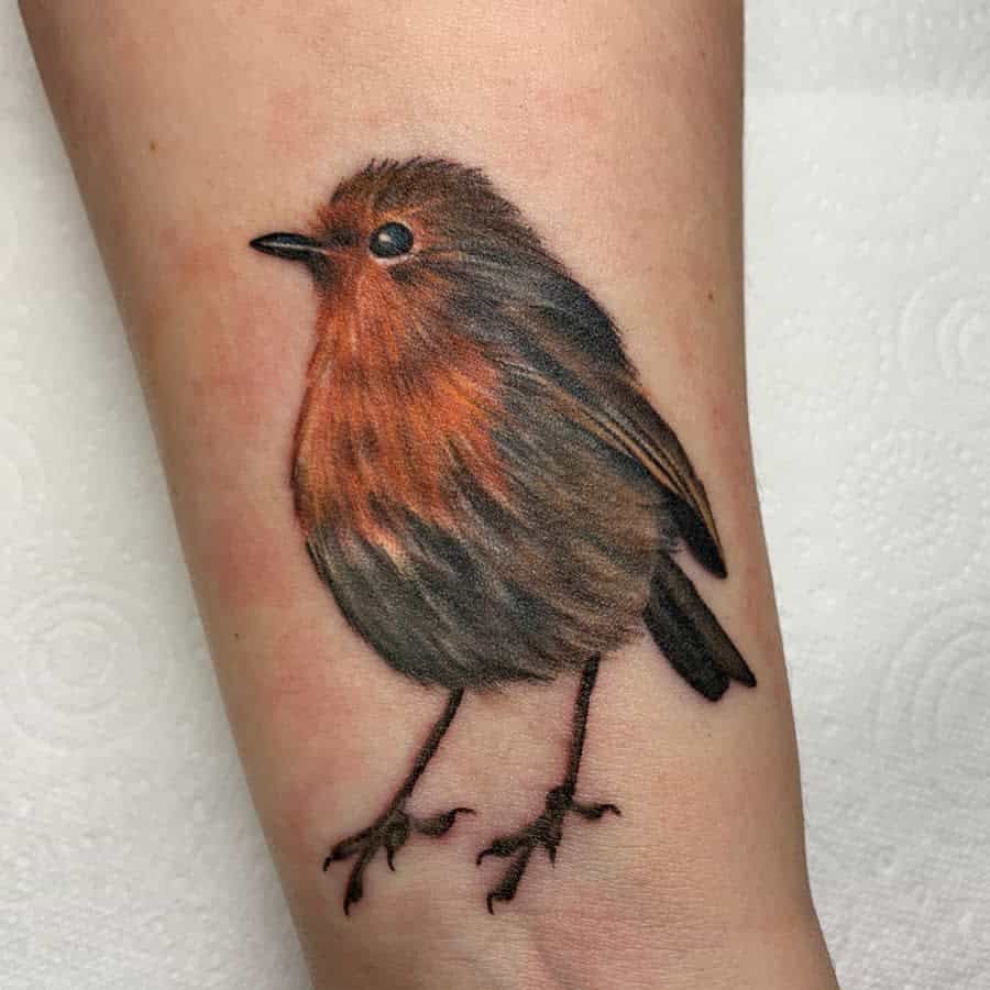 Realistic Robin Tattoo Nikitarose Tattoo