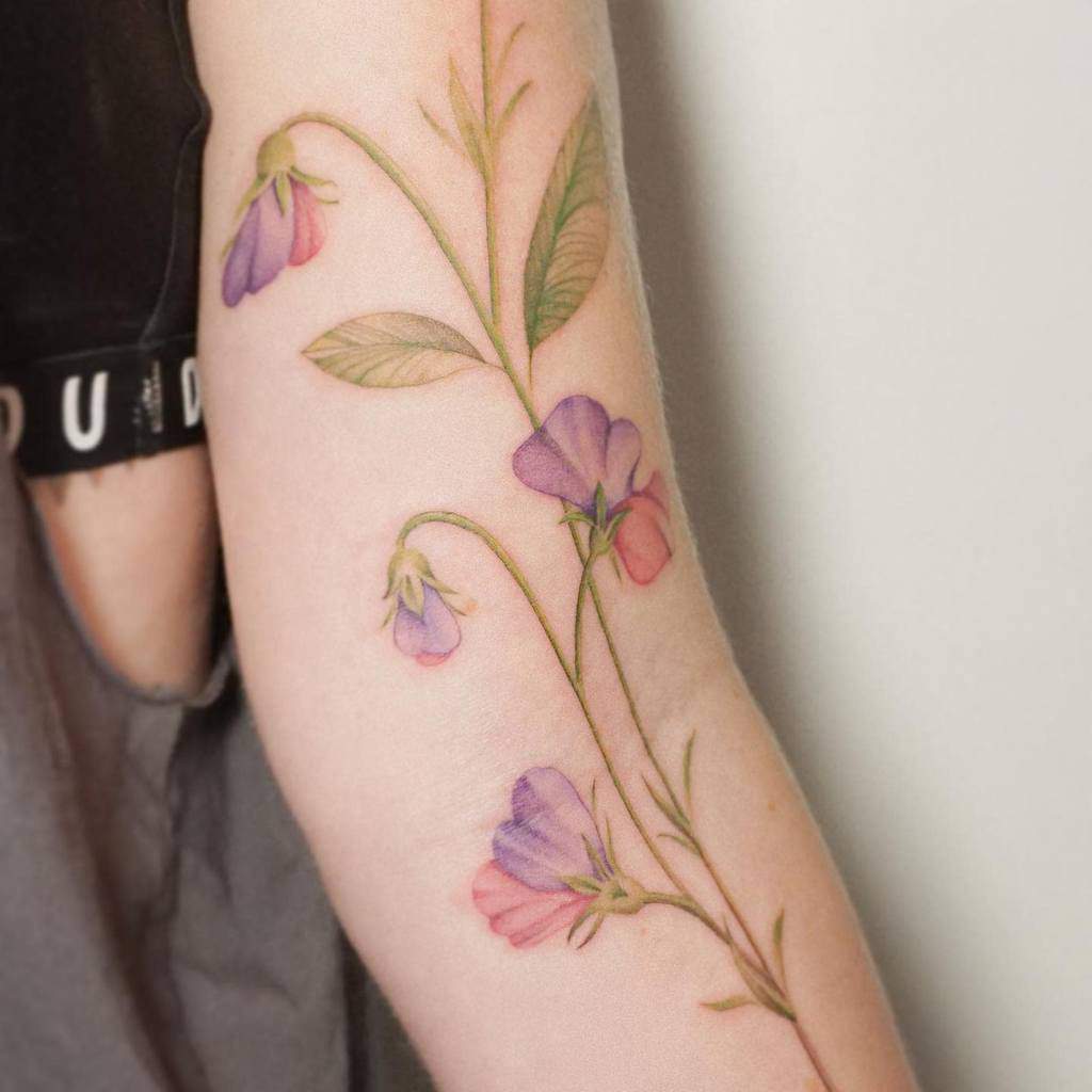Realistic Sweet Pea Flower Tattoo miamelleo_tattoo