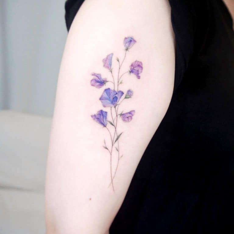 Top 57 Best Sweet Pea Flower Tattoo Ideas 2021 Inspiration Guide