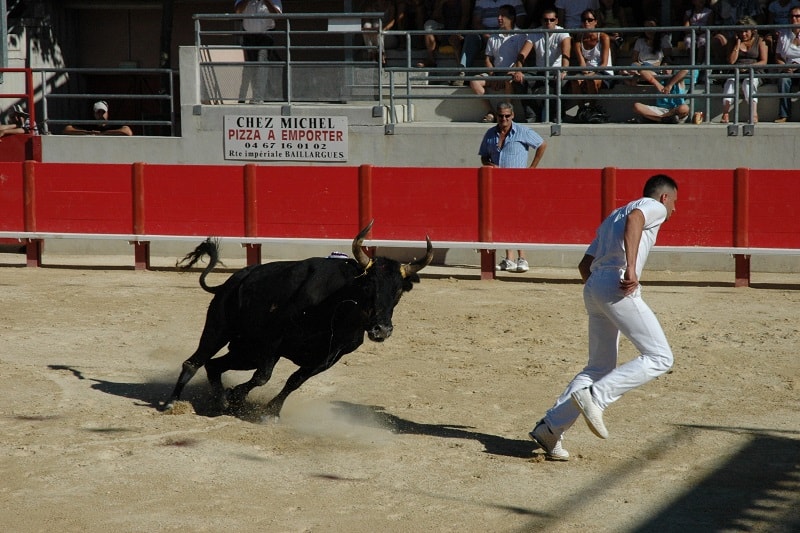 Running-of-the-Bulls-Extreme-Hobbies-Every-Man-Should-Try