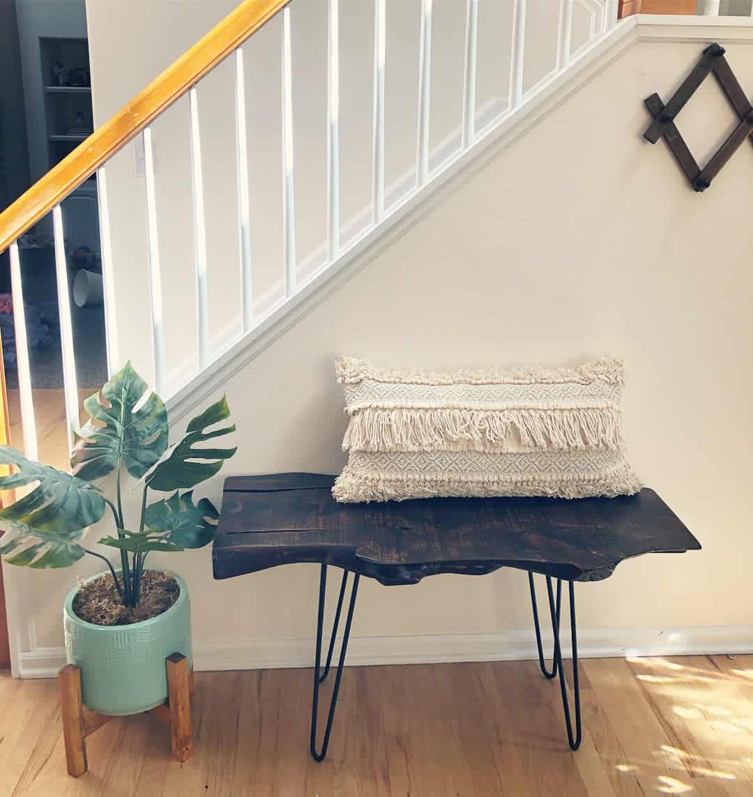 rustic wood bench seat and pot plant 