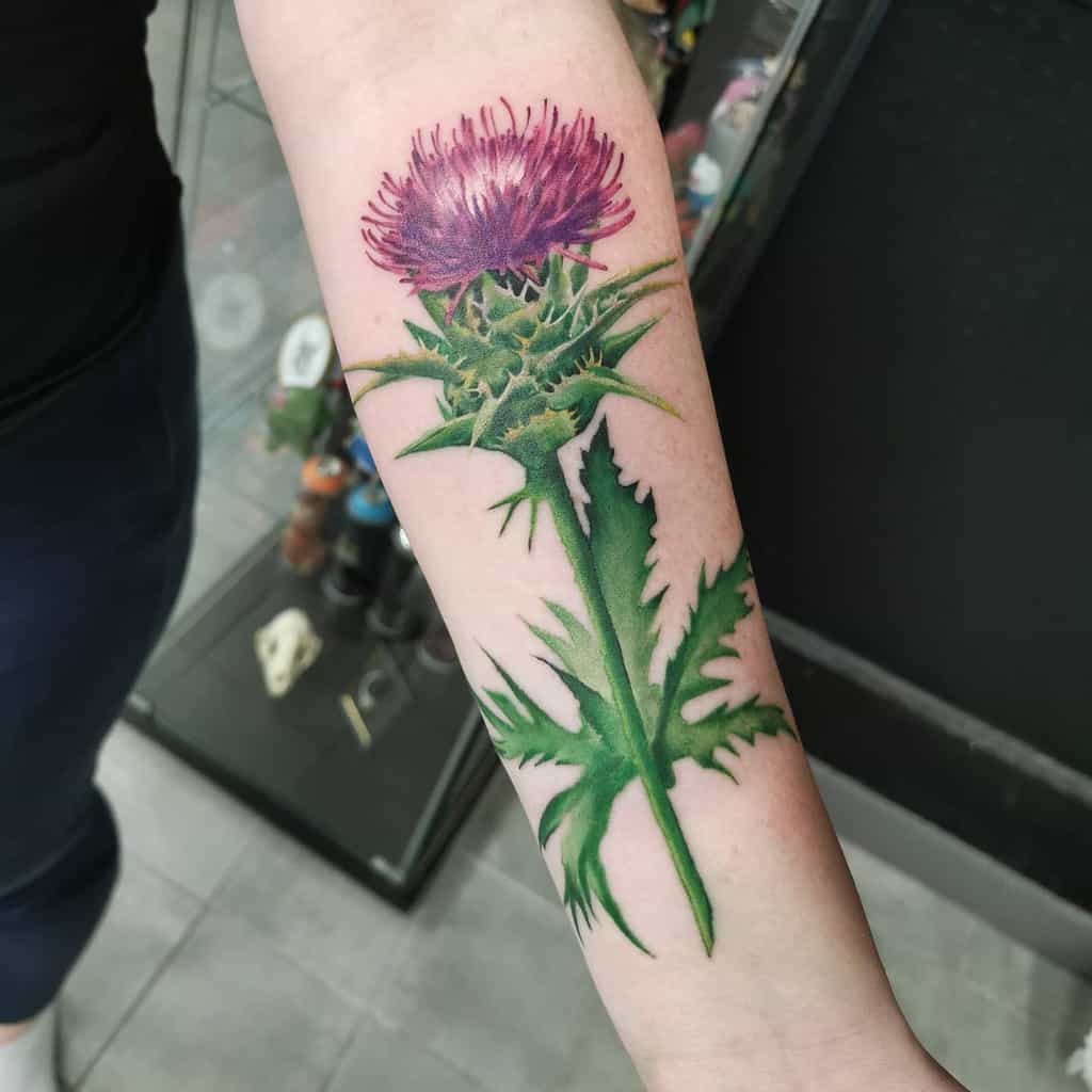 Scottish Thistle Tattoo Sagietattoo