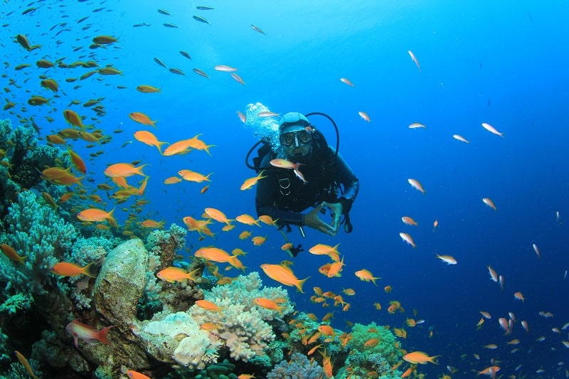 Scuba-Diving-Best-Outdoor-Hobby-For-Men