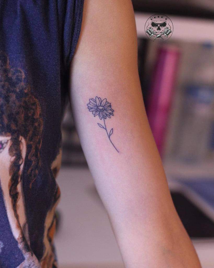Simple Aster Flower Tattoo geert_tatouage_piercing